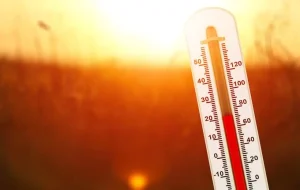 วิธีรับมือหนังศีรษะร้อน