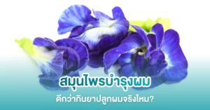 ใช้สมุนไพรบำรุงผม