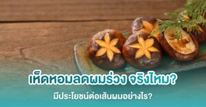 เห็ดหอมลดผมร่วง