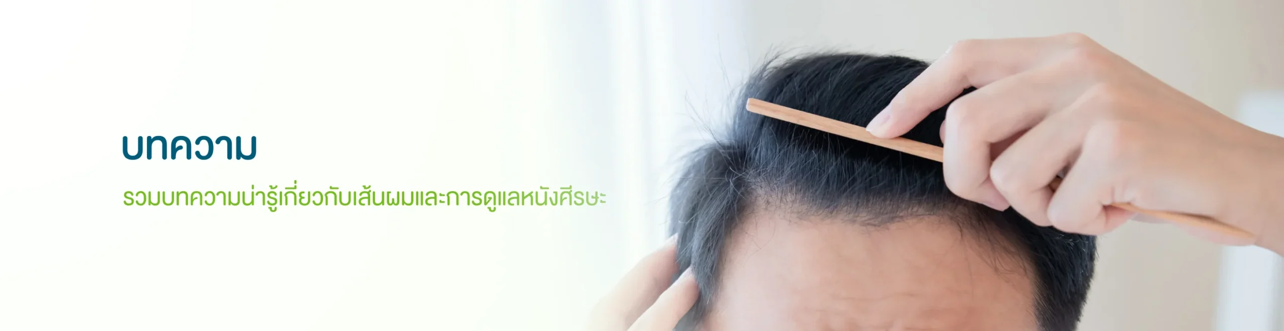 บทความปลูกผม