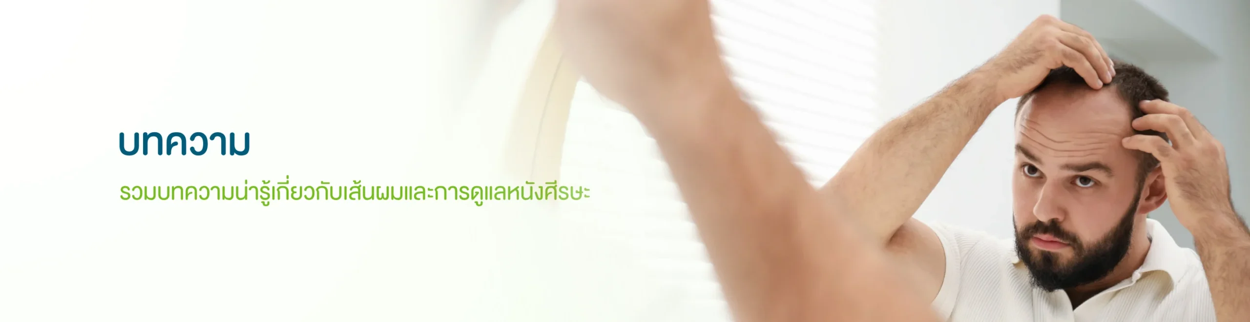 แบนเนอร์หน้าบทความปลูกผม